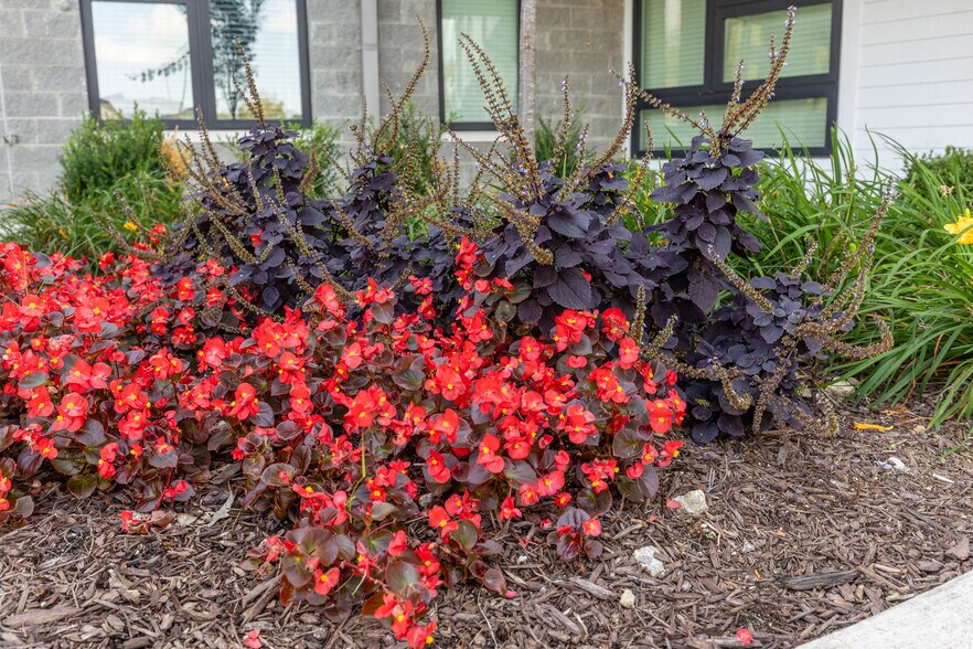 More Photos Of 4040 Travis Dr, Nashville Apartments For Sale