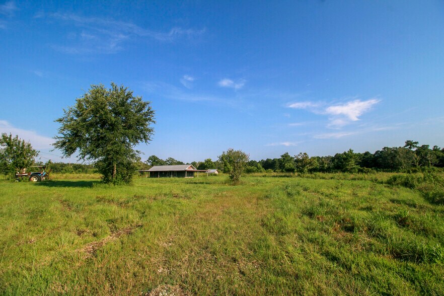 More Photos Of 386 County Road 784, Buna Land For Sale