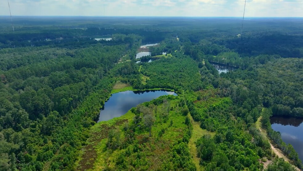 Primary Photo Of 00 Fort Argyle Road, Savannah Land For Sale
