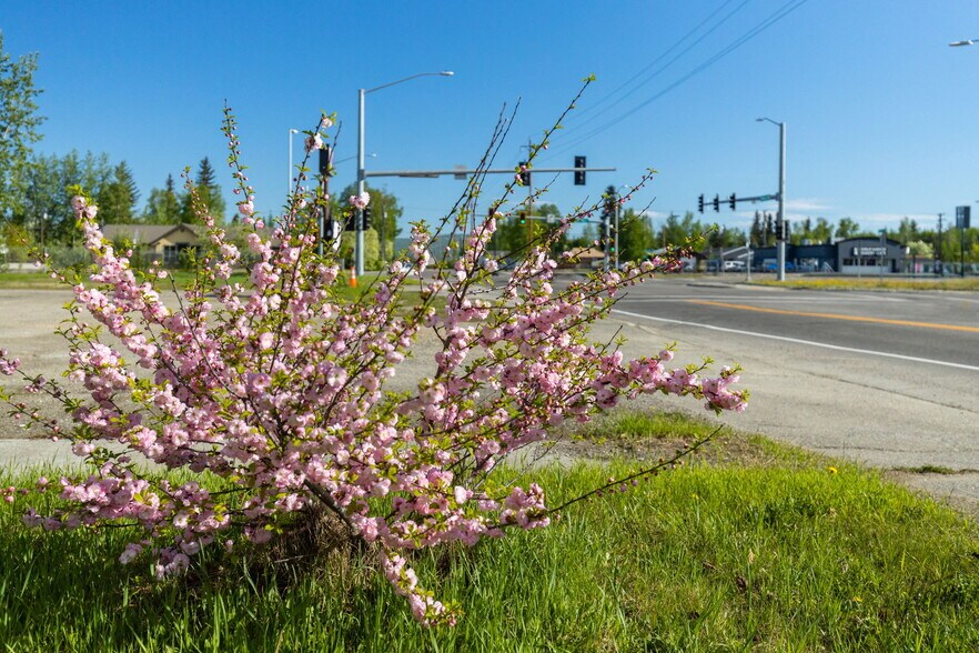 More Photos Of 2001 Airport Way, Fairbanks Restaurant For Sale