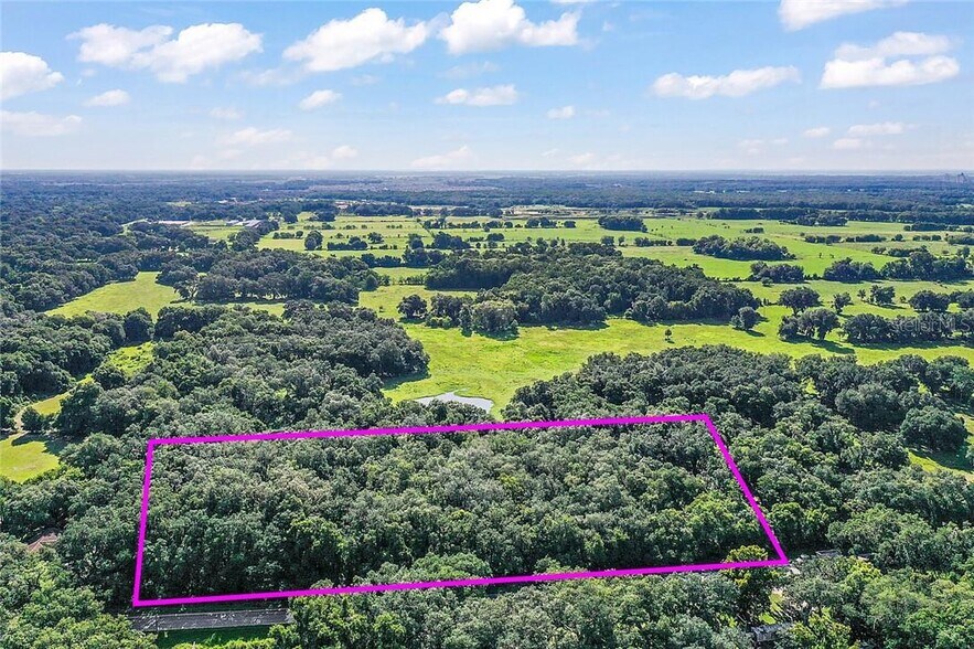 More Photos Of US HWY 301, Coleman Land For Sale