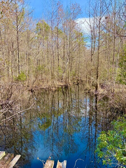 More Photos Of 4597 State 24 rd, Bronson Land For Sale