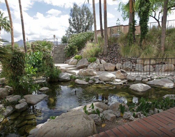 More Photos Of 1820 E River Rd, Tucson Unknown For Lease