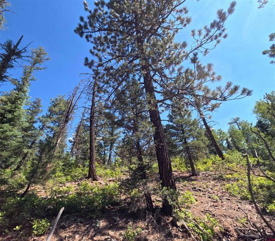 More Photos Of 48 Ponderosa Trl, Durango Land For Sale