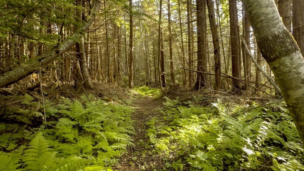 More Photos Of 000 Colt Is, Juneau Land For Sale