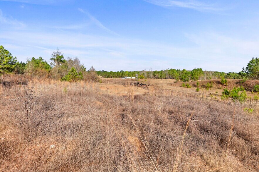 More Photos Of 16.31+/- AC Franklin Parkway Franklin GA 30217, Franklin Land For Sale