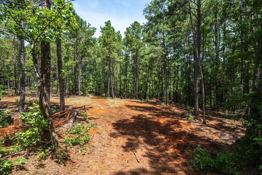 More Photos Of Tract 2 County Road 4102, Jacksonville Land For Sale