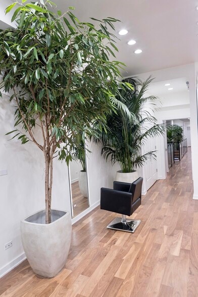 More Photos Of 22 E Elm St, Chicago Storefront Retail Office For Sale