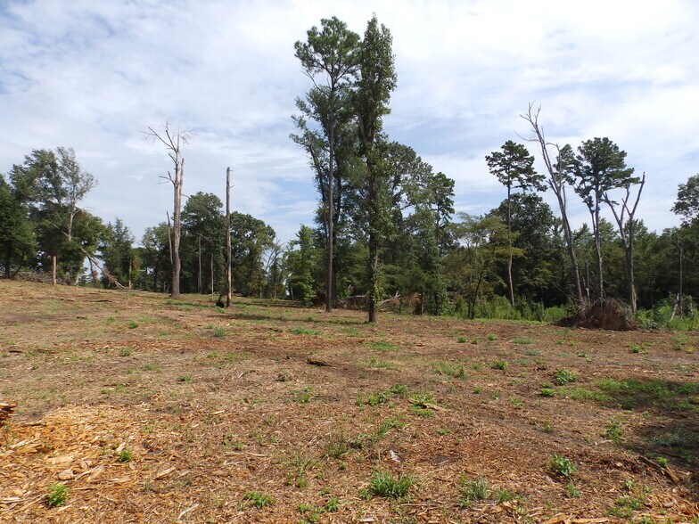 More Photos Of 16393 Highway 31, Tyler Land For Sale