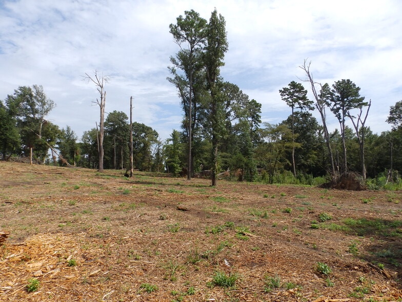 More Photos Of 16393 Highway 31, Tyler Land For Sale