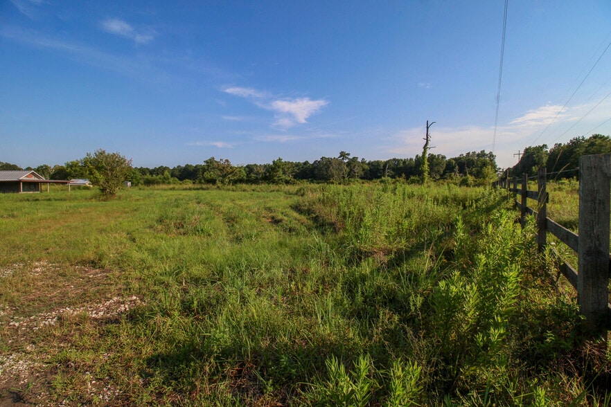 More Photos Of 386 County Road 784, Buna Land For Sale