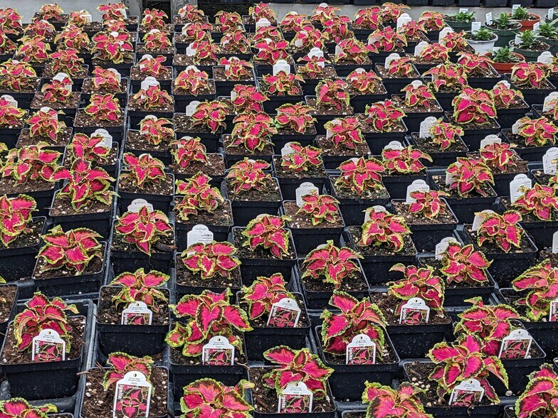 More Photos Of 73 Little York Rd, Warwick Garden Center For Sale