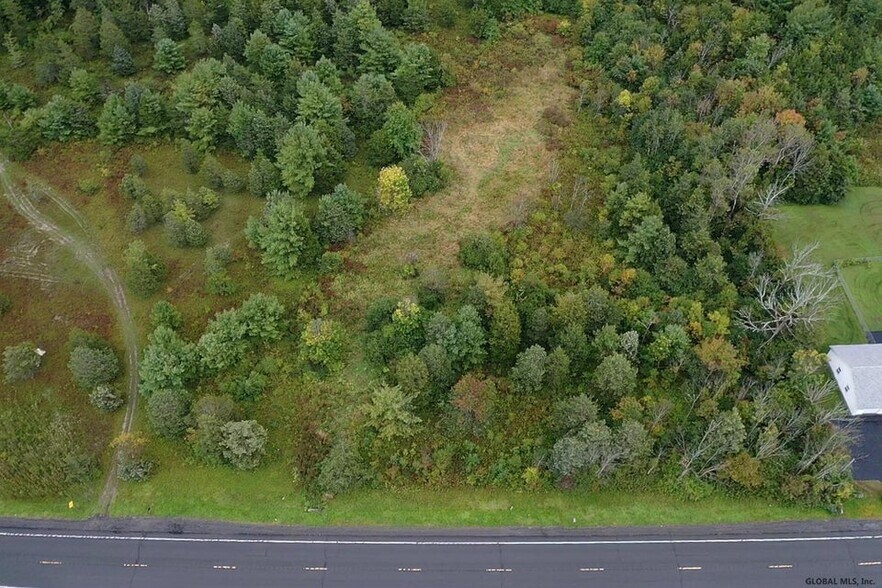 More Photos Of 9676 US-9W, Athens Land For Sale