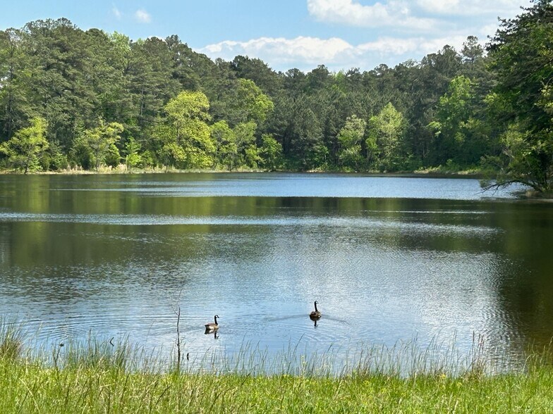 More Photos Of 7357 Ono Rd, Palmetto Land For Sale