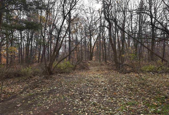 More Photos Of 3102 Route 9W, Saugerties Land For Sale