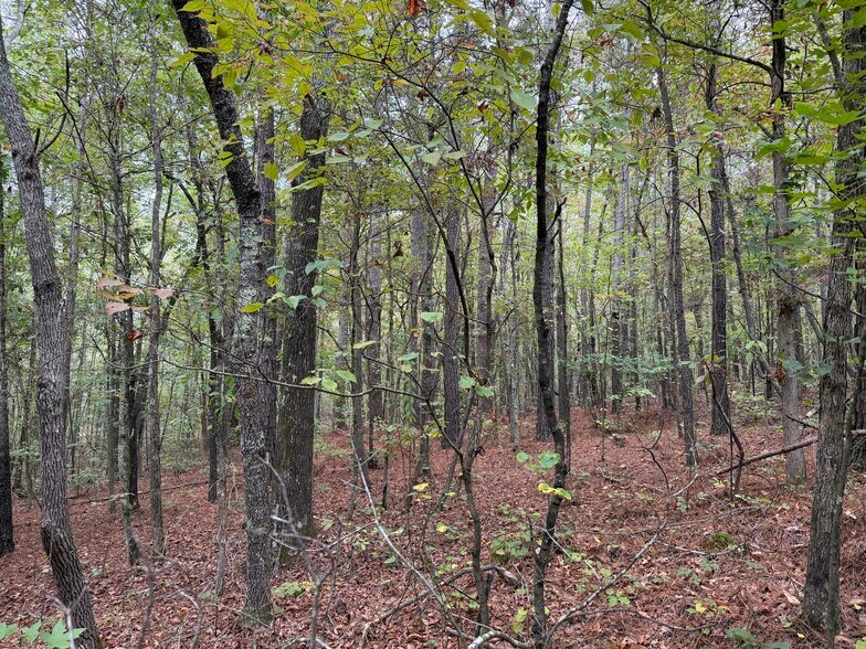 More Photos Of Colquitt Rd, Cedartown Land For Sale