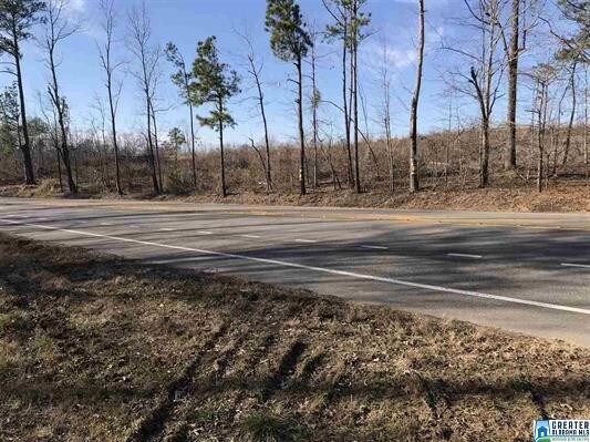 More Photos Of 12970 Highway 25, Calera Land For Sale