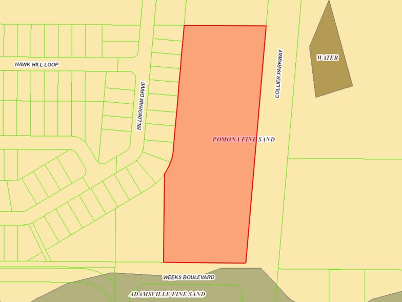 More Photos Of Collier Parkway & Weeks Blvd, Land O' Lakes Land For Sale