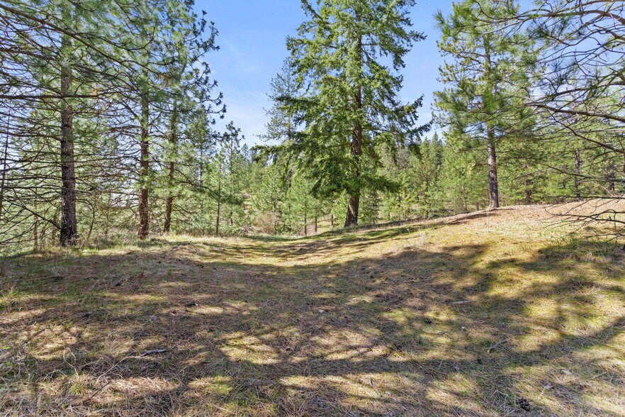 More Photos Of 15809 N Scribner Branch Rd, Spokane Land For Sale