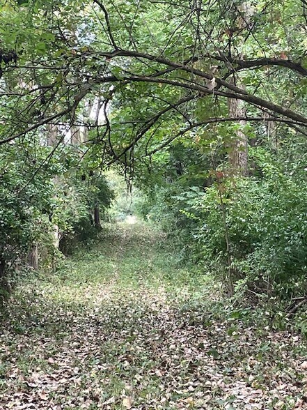 More Photos Of 380 3179th Rd, La Salle Land For Sale