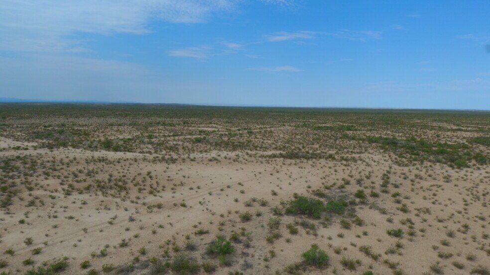 More Photos Of 0000 County Road 222, Toyah Land For Sale