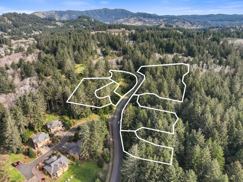 More Photos Of 0 NE Devil's Lake Blvd, Lincoln City Land For Sale