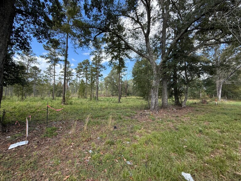 More Photos Of LOT 5 HWY 33 hwy, Centreville Land For Sale