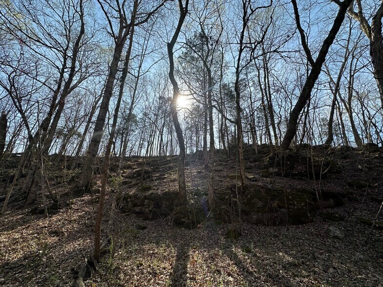 More Photos Of 7312 Highway 60, Georgetown Land For Sale