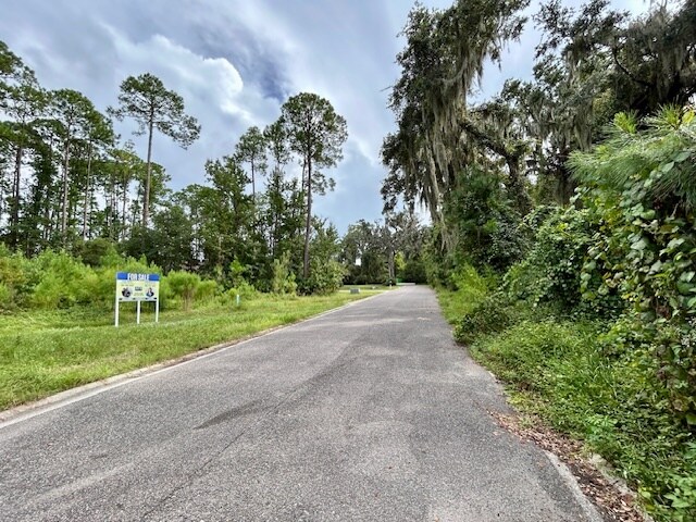 More Photos Of 97124 Elk Creek ct, Fernandina Beach Land For Sale