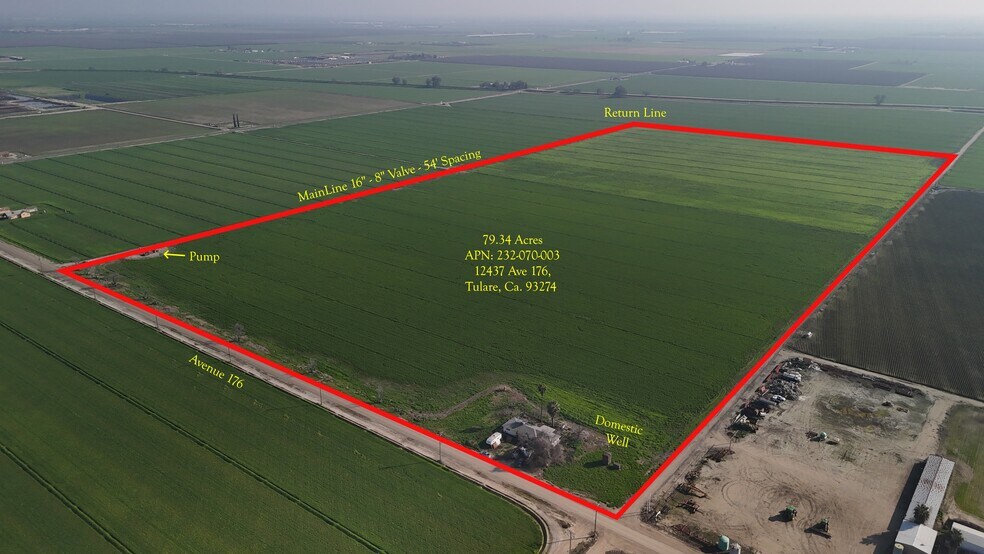 Primary Photo Of 12437 Avenue 176, Tulare Land For Sale
