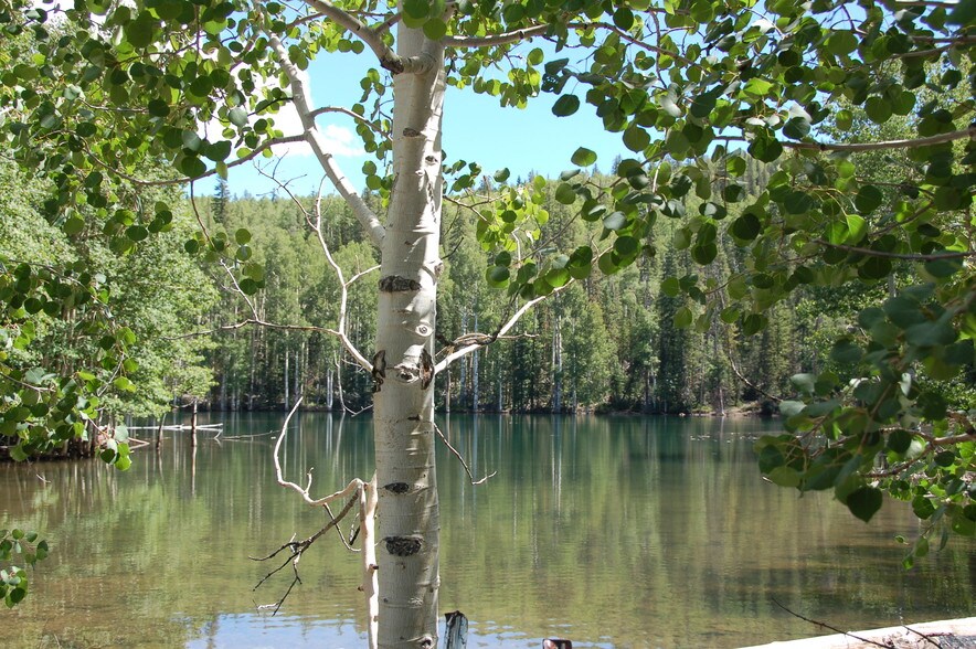 More Photos Of Lake Beaver E, Beaver Land For Sale