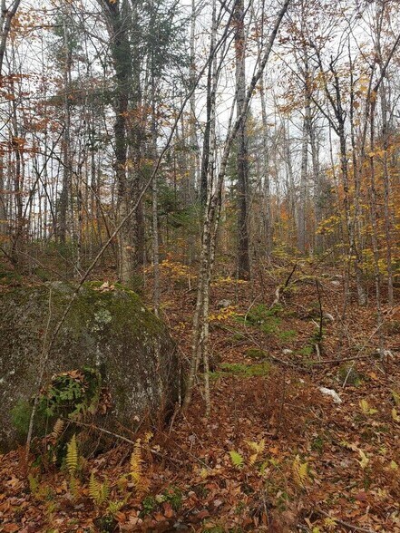 More Photos Of 00 Keefe Way, Ellsworth Land For Sale