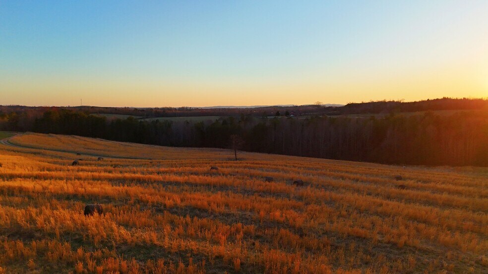 More Photos Of 142 Mace Rd, Casar Land For Sale