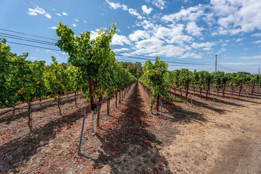 More Photos Of 3340 Lichau Rd, Penngrove Land For Sale