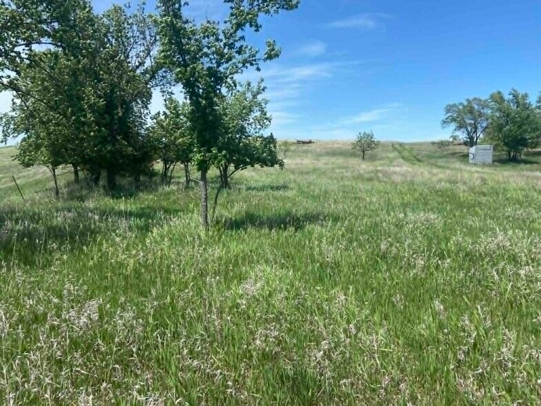 More Photos Of 29392 239th St, Vivian Land For Sale
