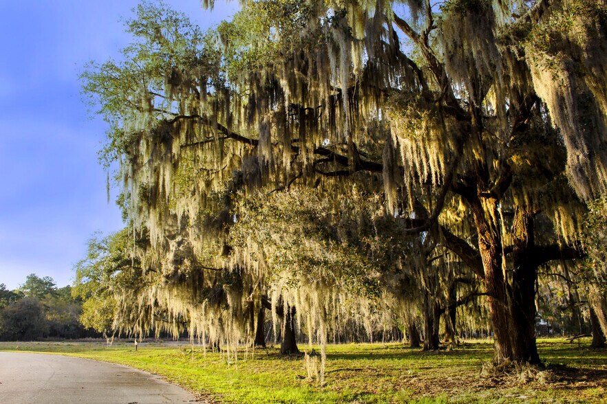 More Photos Of 2204 Grove Point Rd, Savannah Land For Sale