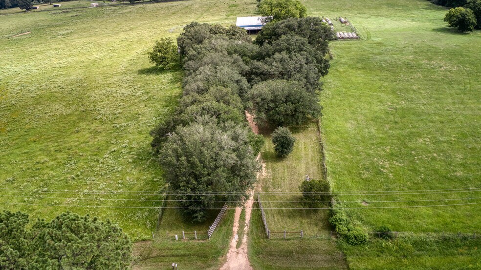 More Photos Of 25396 Magnolia Rd, Hockley Land For Sale