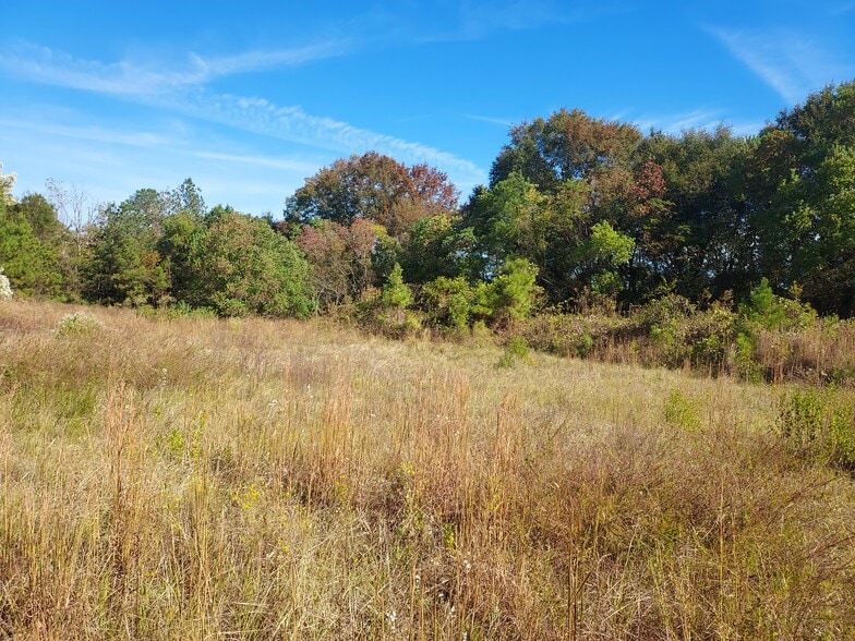 More Photos Of 4 Todd Trail, Millbrook Land For Sale