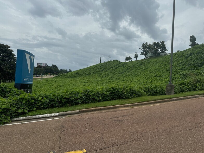 More Photos Of 10 Grand Soleil Boulevard, Natchez Land For Sale