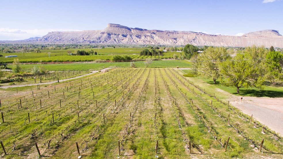 3553 E Rd, Palisade, CO 81526 Winery Vineyard For Sale