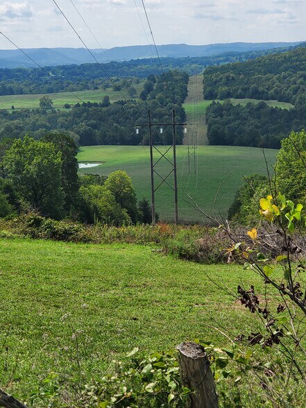 More Photos Of CR 211, Eureka Springs Land For Sale