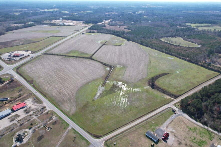 Primary Photo Of 92 Acres South Williamsburg County Highway, Greeleyville Land For Sale