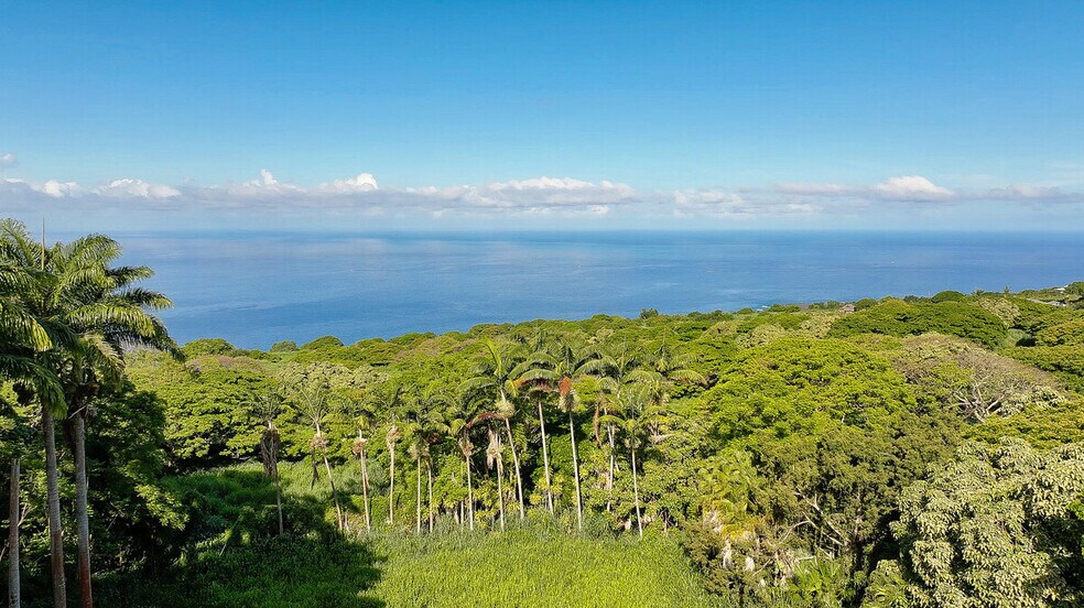 More Photos Of 82-6159 Napoopoo Rd, Captain Cook Land For Sale