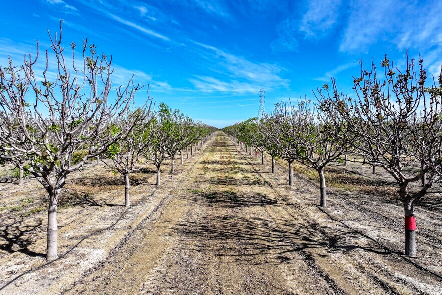 More Photos Of 13037 W Gale Ave, Huron Land For Sale