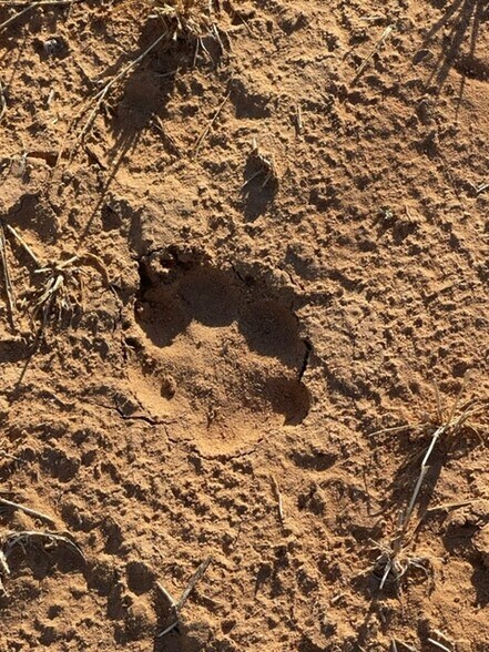 More Photos Of 0100 COUNTY RD 1040, Midland Land For Sale