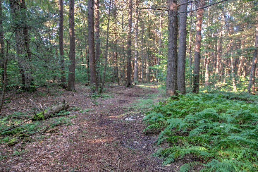 More Photos Of 167 Route 191, Cresco General Retail For Lease