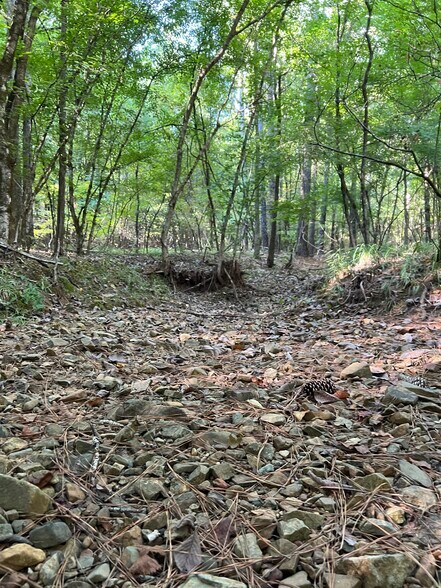 More Photos Of 92 Lillian Strong rd, Carlton Land For Sale