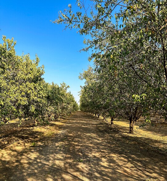More Photos Of Bear Mountain Blvd. @ Malaga Rd., Arvin Land For Sale