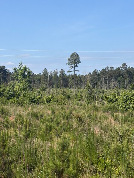 More Photos Of 00 Everett Chappell Rd, Mount Gilead Land For Sale
