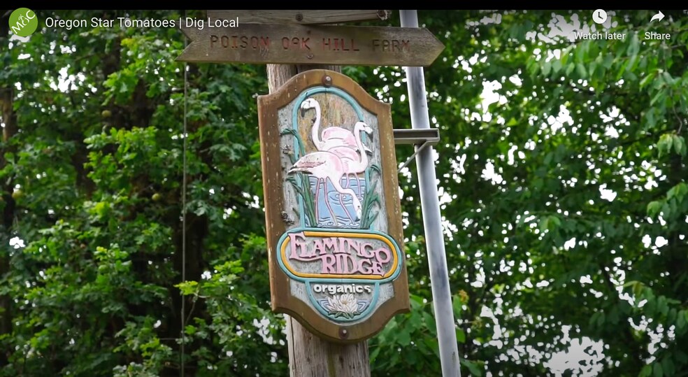 More Photos Of 23175 NE Ridge Rd, Gaston Land For Sale